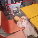 신기세천 이미지