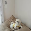 백화stay 이미지