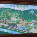 비온뒤햇살가득