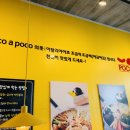 포코포코(POCO POCO) 이미지