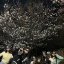 남주치과의원 이미지