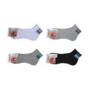 태영스포츠 이미지