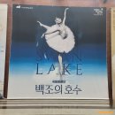 구미시문화예술회관 대공연장 | [구미] 발레알못의 국립발레단 백조의 호수 관람기(구미 문화예술회관 대공연장 B구역 10열)