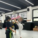 솔찬태권도 이미지