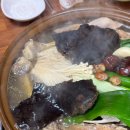 소미애견 농장 | 시흥 애견동반식당 애견동반카페 솔직후기 (산현농장, 해그린베이커리카페, 시흥갯골생태공원)