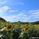 연천 호로고루 이미지