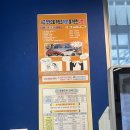 ㈜제주아산렌트카 | [제주도 애견동반 렌트카] 제주아산렌트카 내돈내산 후기