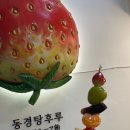 동경 탕후루 | 모란역 동경탕후루 오마카세 탕후루 먹어 본 솔직후기(왕가 탕후루와의 차이점)