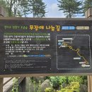 잣나무향기 이미지