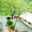 용수그린랜드 이미지