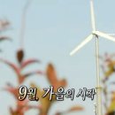 뱃살야옹 | [일상] 9월 결산_주님 이번 달도 1kg 갑니다