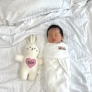 호호쭈쭈 | 동글이 키우기 (~30일)