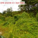 하개명마을회관 이미지