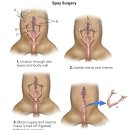 라파엘동물병원 이미지