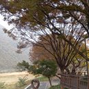 남한강 고운골 자연학습원 | 단양 일주일 살기 4일차 : 고운골 남한강 갈대밭과 보리곳간, 그리고 도깨비 양조장