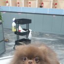 은아농장 이미지