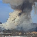 삼랑진초등학교 이미지