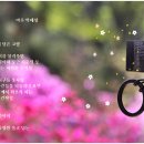 고향마루 이미지