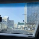 성해수산 | [D-99] 셀프 부케 만들기 그거 어터케하는거야⁉️ 부터시작해서 우당탕탕 준비하기 그래도 양재 꽃시장...