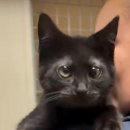 동글동글 이미지