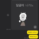 씨실과날실 이미지