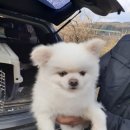 수미약국 이미지