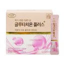 에버그린 이미지