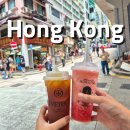 붐(BOOM식당) | 홍콩 미드레벨 근처 카페 VETEA 강추!!, 가성비 딤섬 DING DIM 1968