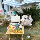 에바다애견 이미지