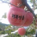 병규농장 Daum카페