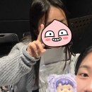 데일리스튜디오 이미지