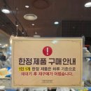 평은슈퍼 | 대전 성심당 롯데백화점 테슬라 주차 웨이팅 내돈내산 솔직 후기