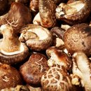 하나로한의원 이미지