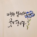 하삼동개양점 이미지