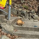 하단동171 이미지