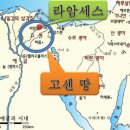 (주)고센
