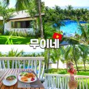 더 디테일(THE EDTAIL) | 무이네 호텔 추천 더클리프 리조트 객실 조식 레스토랑 후기