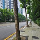 대산로 티스토리