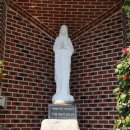 완월동246 이미지