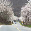 아산봄내과의원 이미지