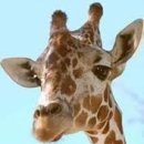 엔터식스 왕십리점 이미지