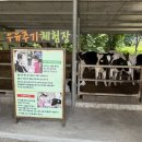 진관-041 | 충남 당진 예산 아그로랜드 우유농가 카페 에코백 입장료 주차