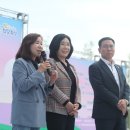수노을
