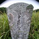녹산 티스토리