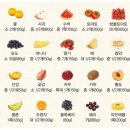 가디언 오브 갤럭시 PT 이미지