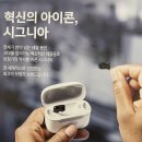 독일시그니아보청기 이미지