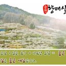 진미용소 - 상주시 | 진미용소