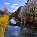 영산 만년교 이미지