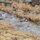 구만농장 이미지