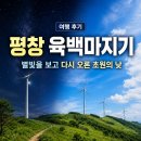 별빛여행 민박 | 평창 육백마지기 여행 후기, 별빛을 보고 다시 오른 초원의 낮
